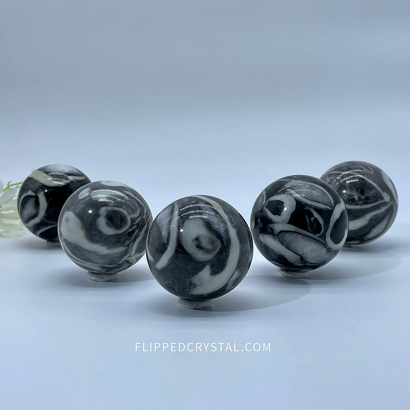 Shell Stone Sphere – Flipped Crystal